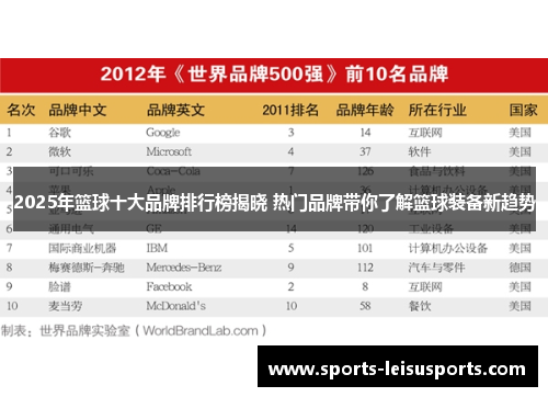 2025年篮球十大品牌排行榜揭晓 热门品牌带你了解篮球装备新趋势
