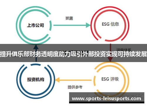 提升俱乐部财务透明度助力吸引外部投资实现可持续发展