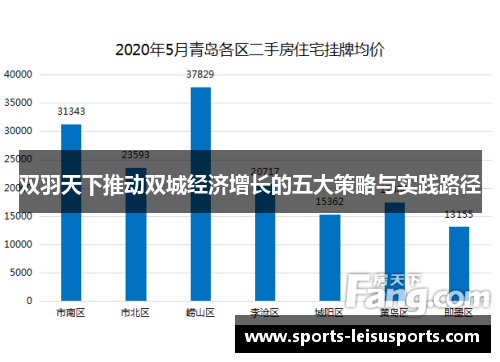 双羽天下推动双城经济增长的五大策略与实践路径