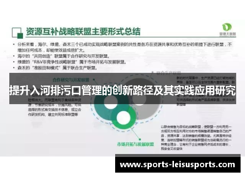 提升入河排污口管理的创新路径及其实践应用研究