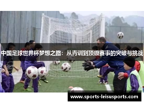 中国足球世界杯梦想之路：从青训到顶级赛事的突破与挑战